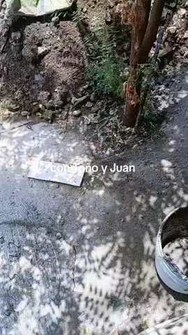 @negro jarocho