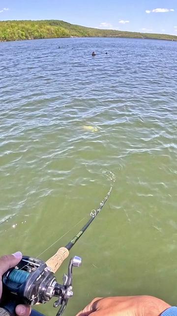 @Dkam Fishing (NJ)