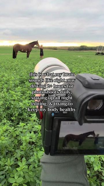 @Tisha 📸🦄 Equestrian Photog