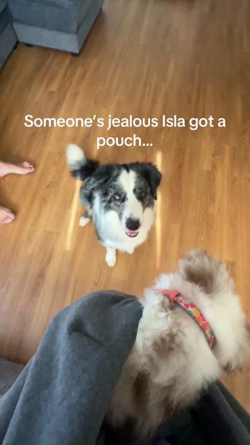 @Isla the Aussie