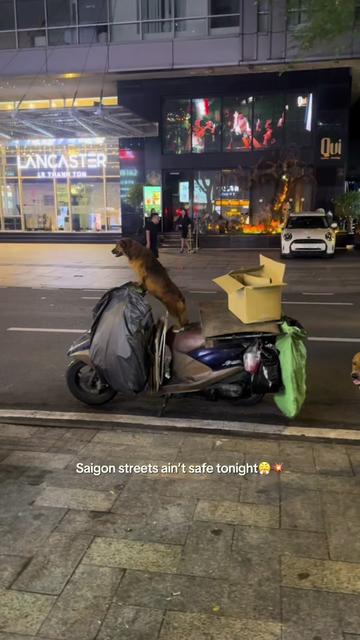 @JTAN🖤
