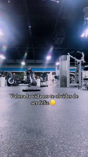 @678sanches