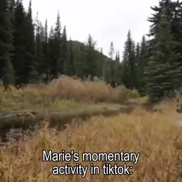 @kimashitaka?