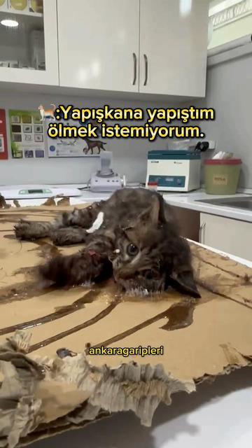 @Asiye