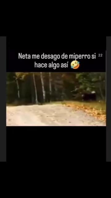 @Puras risas 😂