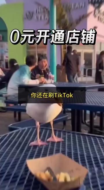 @美区TikTok小店招商部