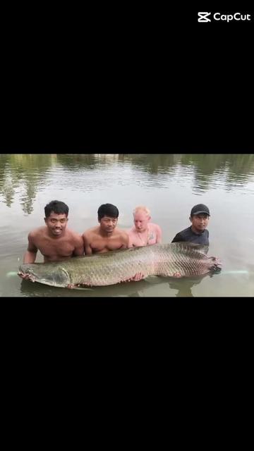 @Tight Lines Fishing Pattaya