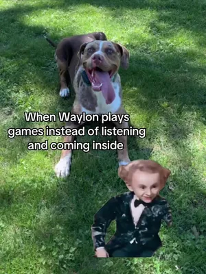@Waylon