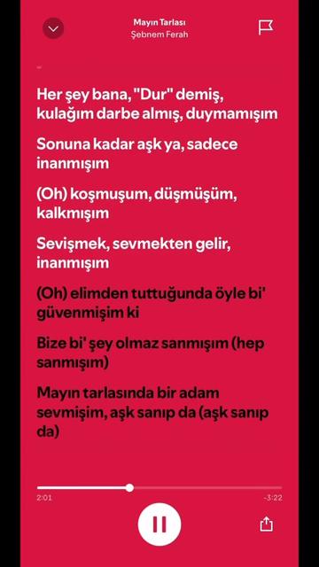 @spotifyy top
