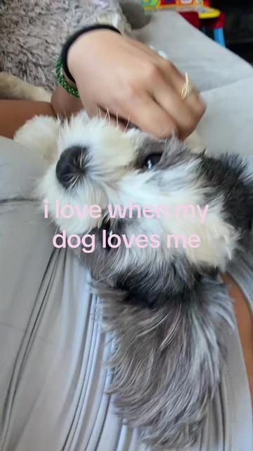 @⃟