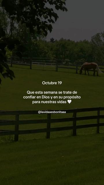 @vidabonita❤️🩹