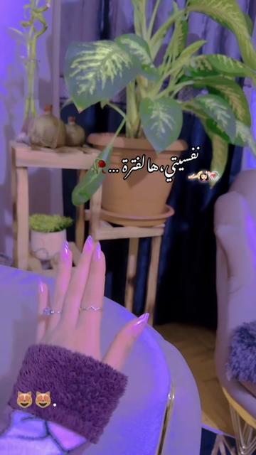 @𝓗𝓲𝓫𝓪🪞🦢