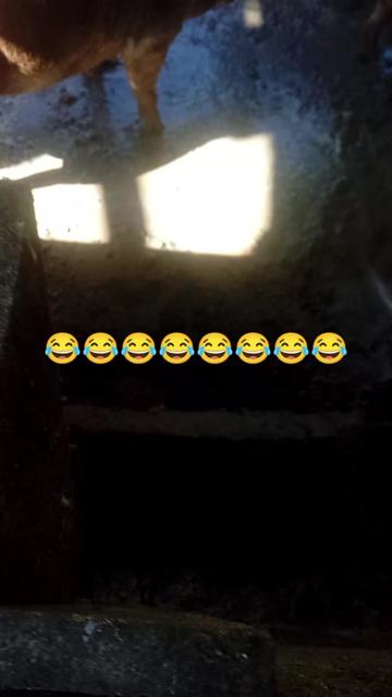 @La cubana Oficial
