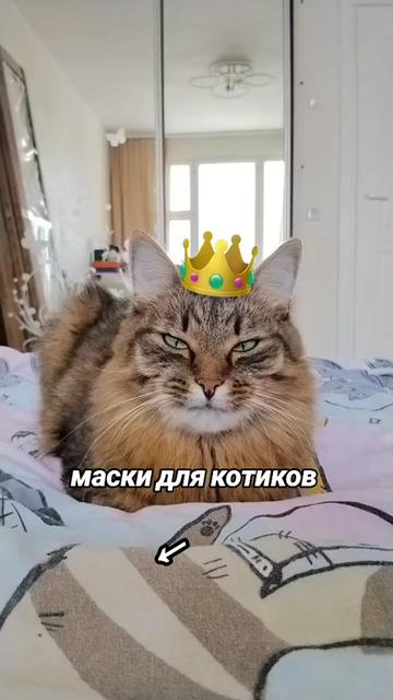 @Марсик😺💖
