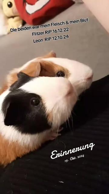 @x.ixts_leny