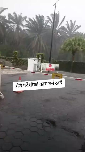 @himanshidhami