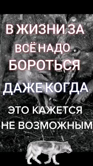 @✸Димон_Волк✸