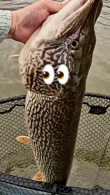 @Dkam Fishing (NJ)