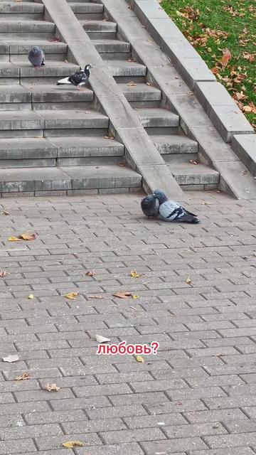 @Ольга