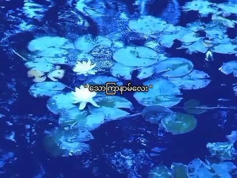 @♡︎ 𝐌𝐀 𝐓𝐇𝐀𝐄
