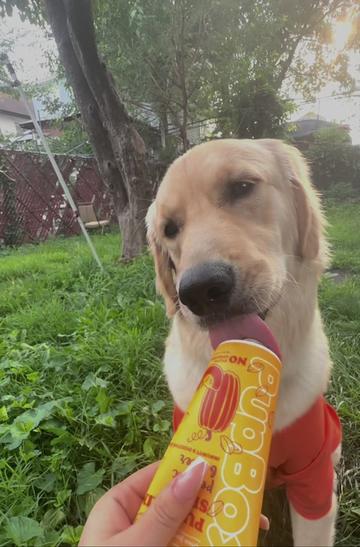 @Thebestgoldenlife
