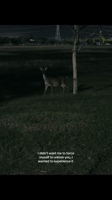 @unknown feelings