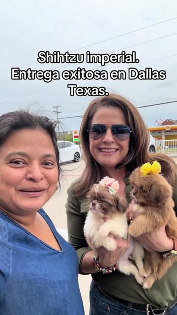 @Brenda Munoz