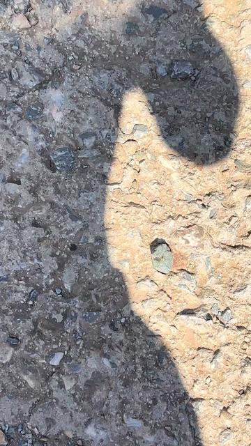 @JerseyGirl4EvaEva