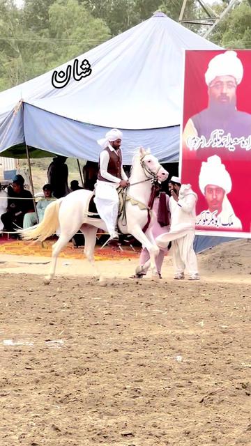 @SUNRISE STUD FARMS RAWALPINDI