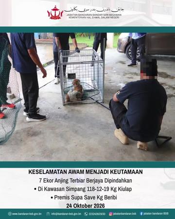 @Seen & Real