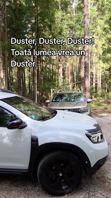 @ionuthabuc_duster_fan