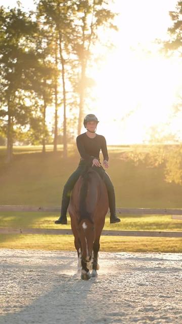 @Free Ride Equestrian