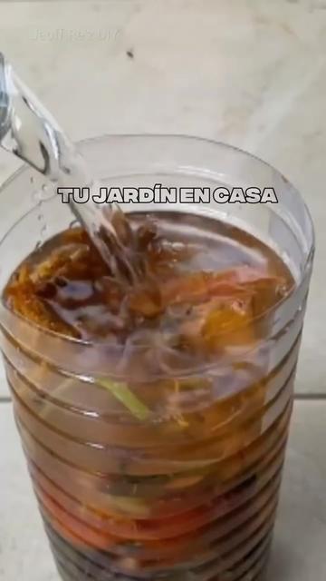 @Tu jardín en casa