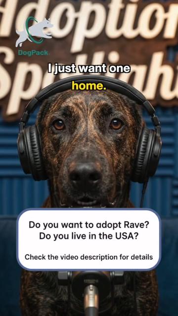@DogPack