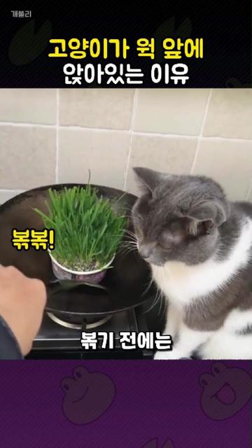 @개블리