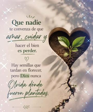 @✨Carlos 👍✨