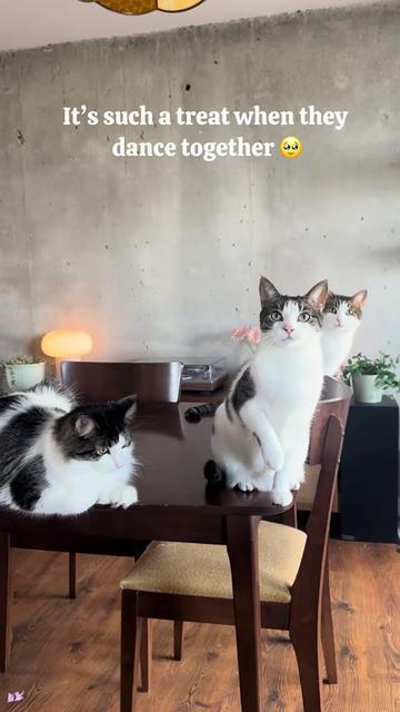 @Lil’ Ivy & Lux 🧚🌱🩵