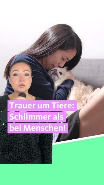 @Tiere suchen ein Zuhause