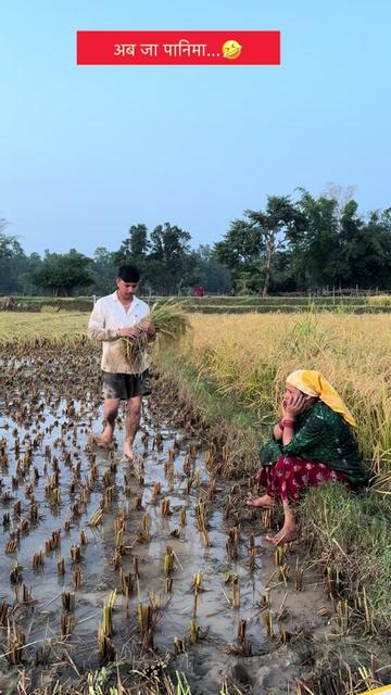@सूरज शाही ठकुरी