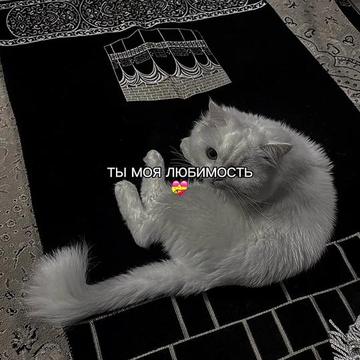 @ХХИКА