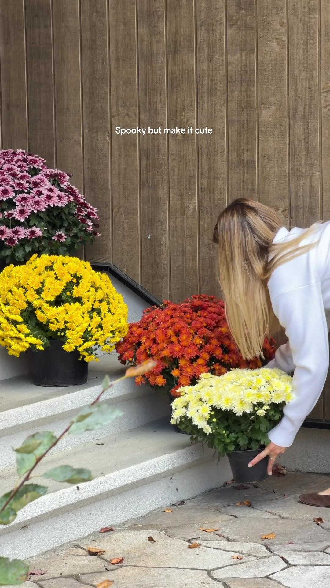 @MEAGIE 🦋