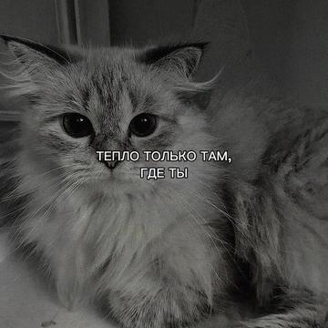 @ХХИКА