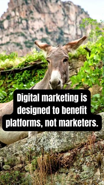 @Digital Marketing Pros ✨
