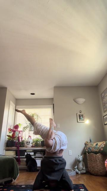 @gardengirl8440