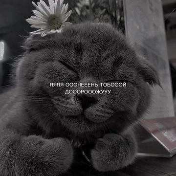 @ХХИКА