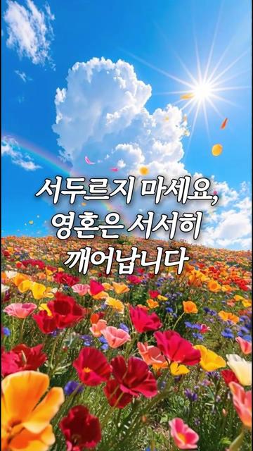 @빛의 씨앗