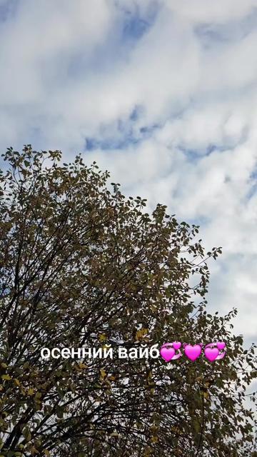 @nerachka