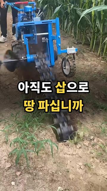 @리키백커