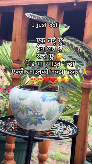 @Sarmila Tamang