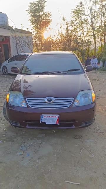 @ncpcarlover1